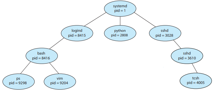A_tree_of_processes_on_a_typical_Linux_system